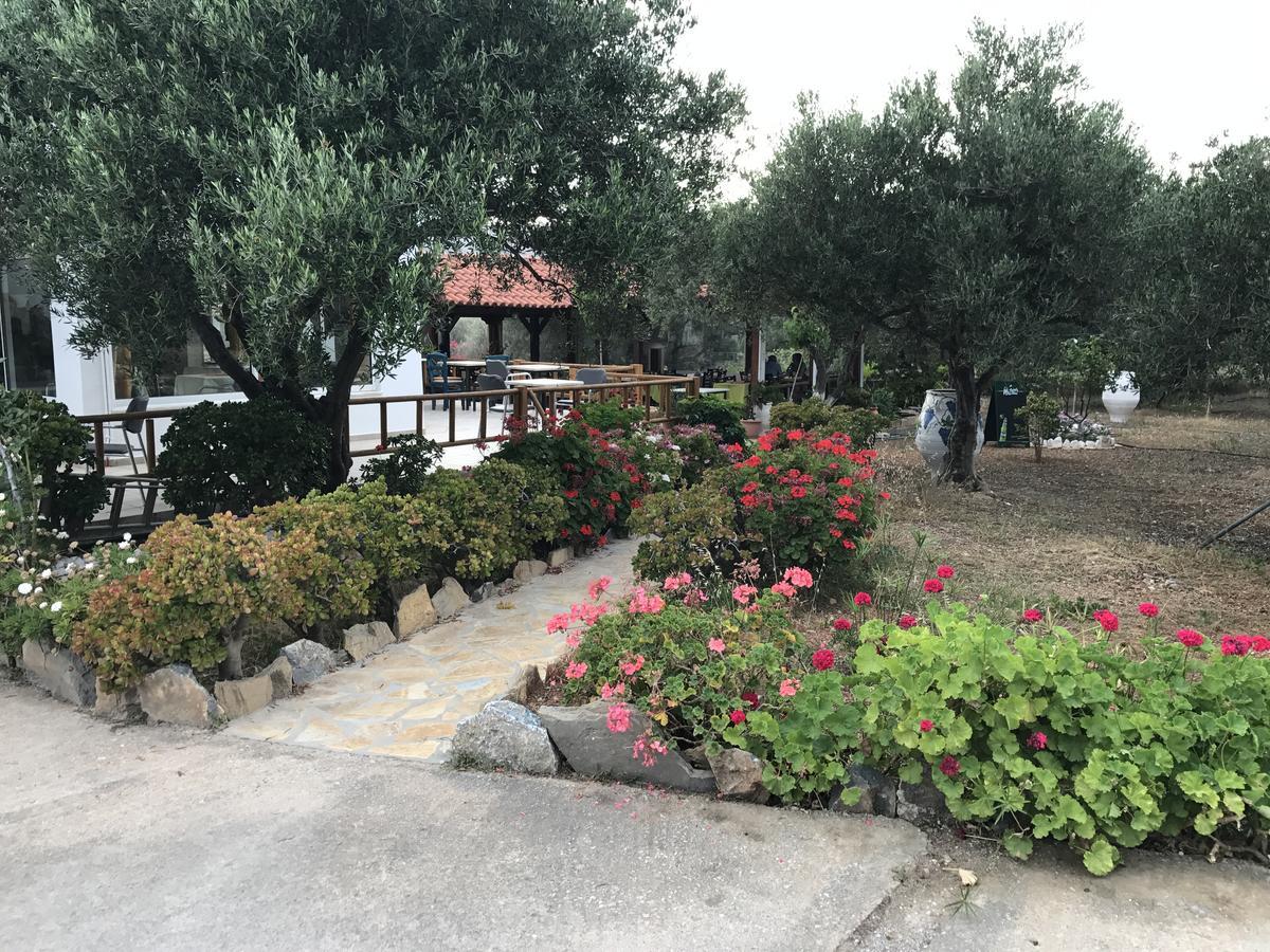 Kavoúsion Tholos Rooms מראה חיצוני תמונה